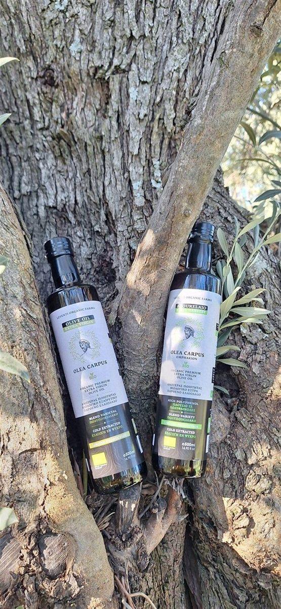 Two Olea Carpus bottles in an upright composition on an olive trunk