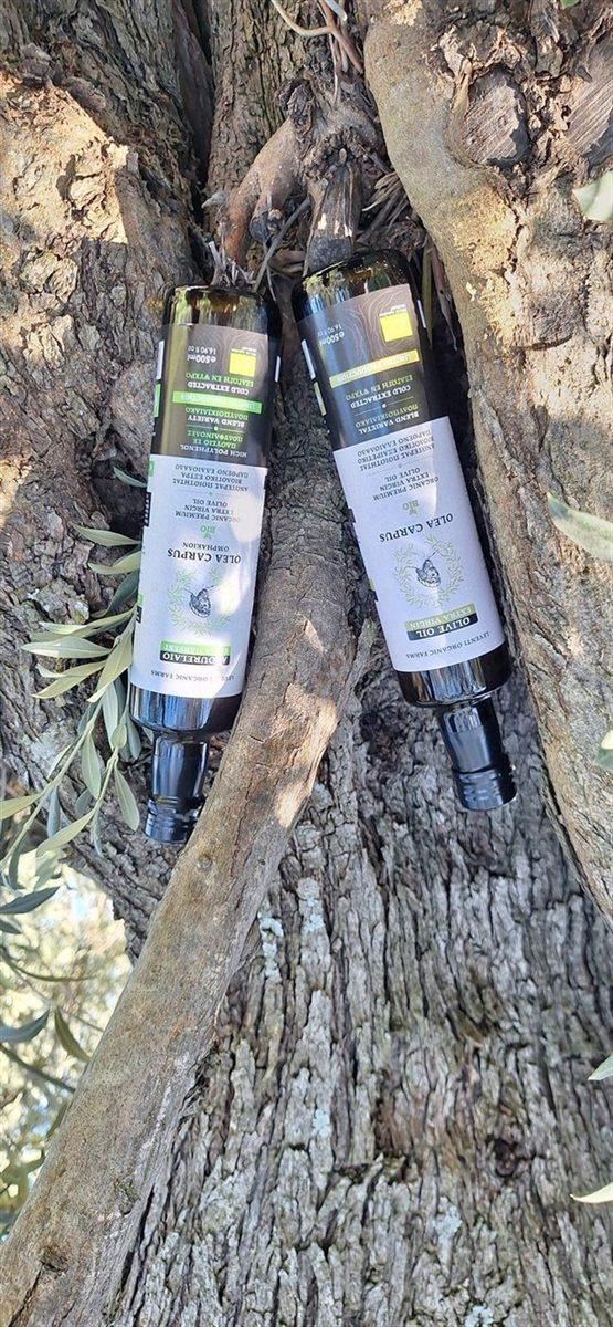 Vertical product composition with two Olea Carpus bottles on the tree trunk