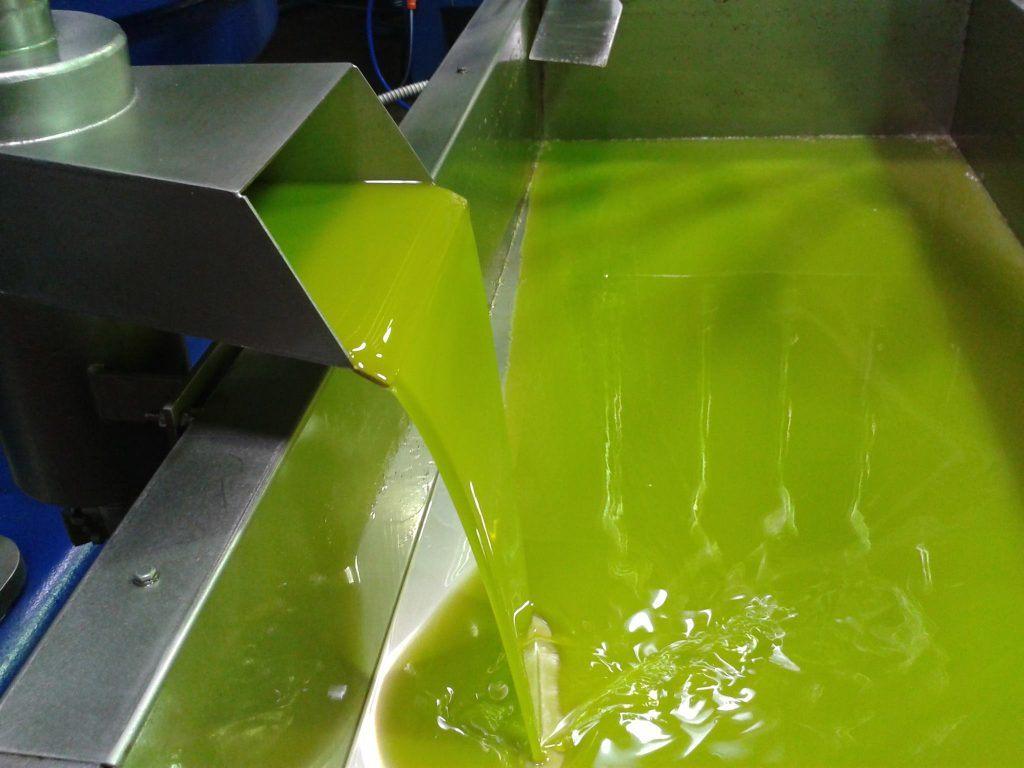 Fresh green olive oil flowing at the mill
