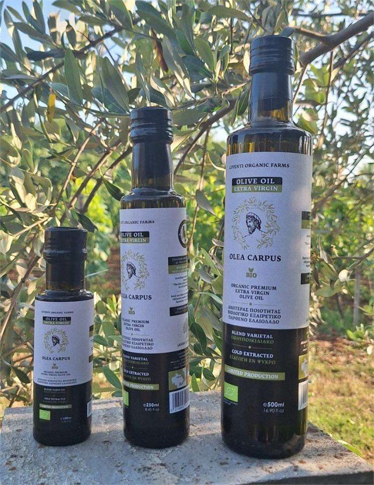 Classic harvest Olea Carpus range